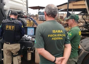 O IBAMA está abrindo vagas para quem deseja desafios e experiência. Imagem: Agência Brasil