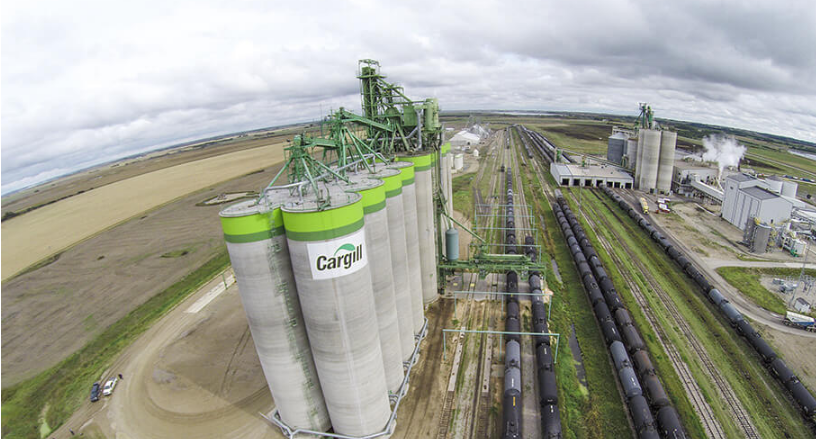 Saiba já como irá funcionar o processo de incrição das vagas de emprego na Cargill /  Imagem: Cargill