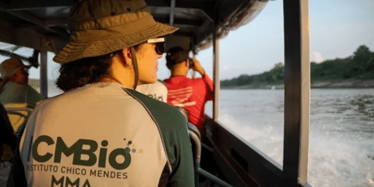 As etapas dos Processos Seletivos são análise curricular e entrevista. Imagem: Governo Federal