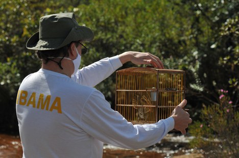 Fiscalização ambiental. Imagem: Portal Gov