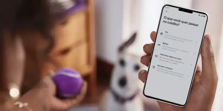 Parcelamento de boletos no Nubank: taxas, limites e passo a passo para usar 1 Imagem destacada Parcelamento de boletos no Nubank: taxas, limites e passo a passo para usar