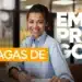 Prefeitura oferece 1.000+ vagas de emprego para todos os níveis de escolaridade 9 Imagem destacada Prefeitura oferece + vagas de emprego para todos os níveis de escolaridade