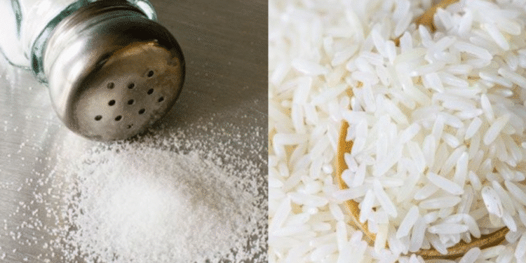 Imagem destacada Arroz no saleiro: o truque simples que mantém o sal sempre soltinho