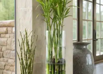 Imagem destacada Dia do Bambu: transforme seus ambientes com o poder do bambu da sorte
