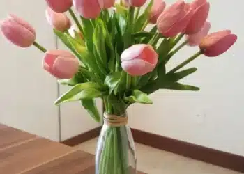 Imagem destacada ideias de arranjos de flores para renovar o ambiente sem complicação