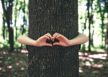 Imagem destacada Abraçar árvores: ciência, bem estar e práticas simples para renovação diária