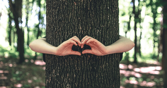 Imagem destacada Abraçar árvores: ciência, bem estar e práticas simples para renovação diária