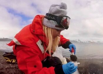 Descoberta arqueia extrema na Antártica por equipe feminina da USP