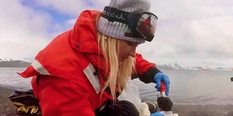 Descoberta arqueia extrema na Antártica por equipe feminina da USP