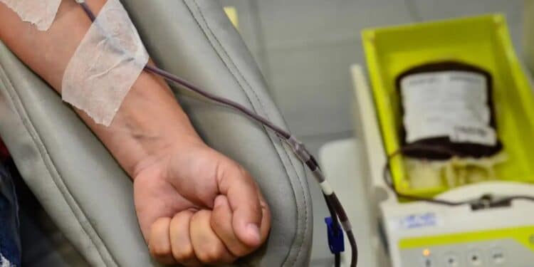 Projeto de Lei propõe dobrar folgas remuneradas para doadores de sangue