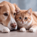Projeto de Lei 206/26: Pena para Maus-Tratos a Cães e Gatos Pode Aumentar para até 8 Anos