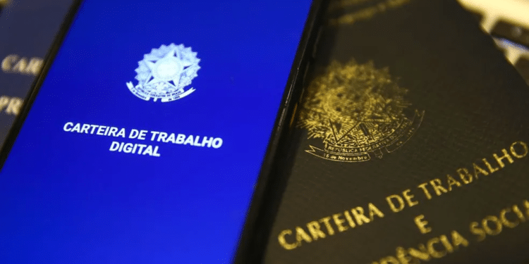 Carteira de Trabalho Digital: acesso, consulta de contratos e correção de dados centralizados