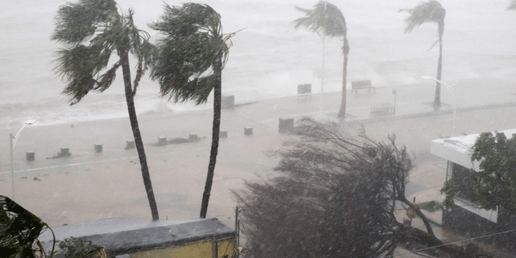Ventos de 60 a 100 km/h no litoral do Sul e SP: alerta do INMET amplia risco até quinta (6)