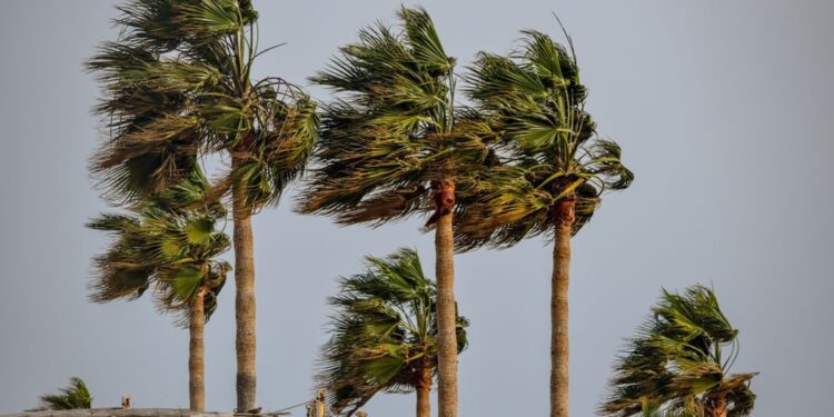 11 estados têm alerta de vendaval nesta sexta (7): Inmet prevê ventos de até 100 km/h